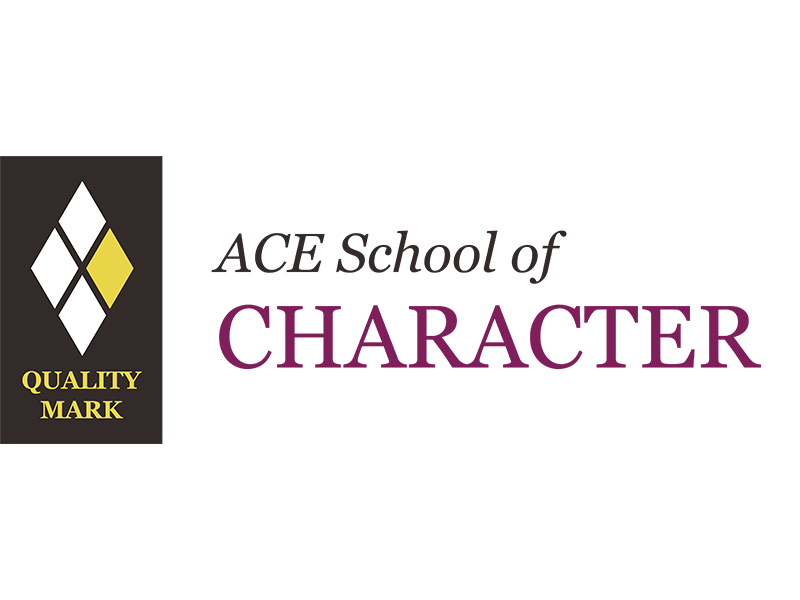 Ace School